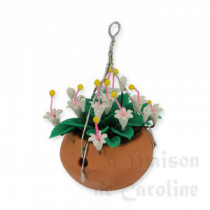 White flowers in hanging basket