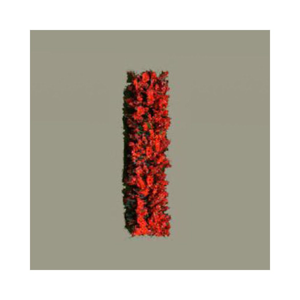 Hedge 50mm - dark red