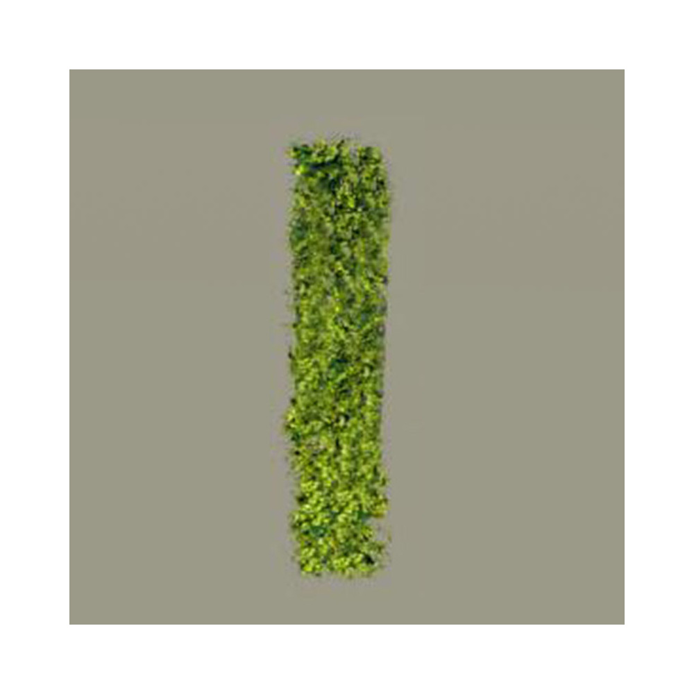 Hedge 50mm - light green