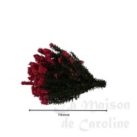 photo description