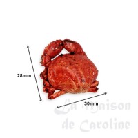 photo description