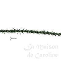 photo description
