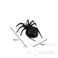photo description