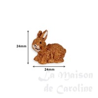 photo description