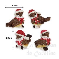 photo description