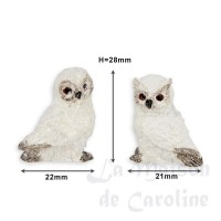 photo description