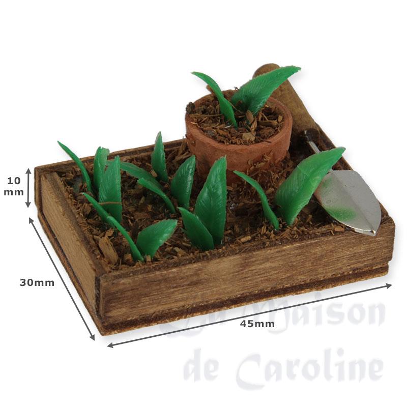 brown box of seed bed (6) miniature 1:12 Bilder 1