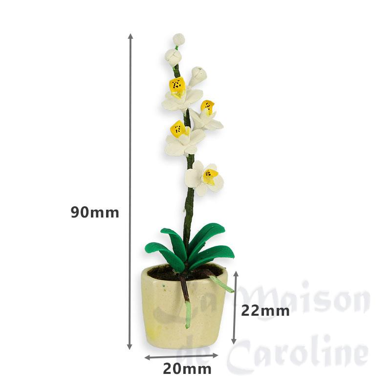 white phalaenopsis in planter miniature 1:12 Bilder 1