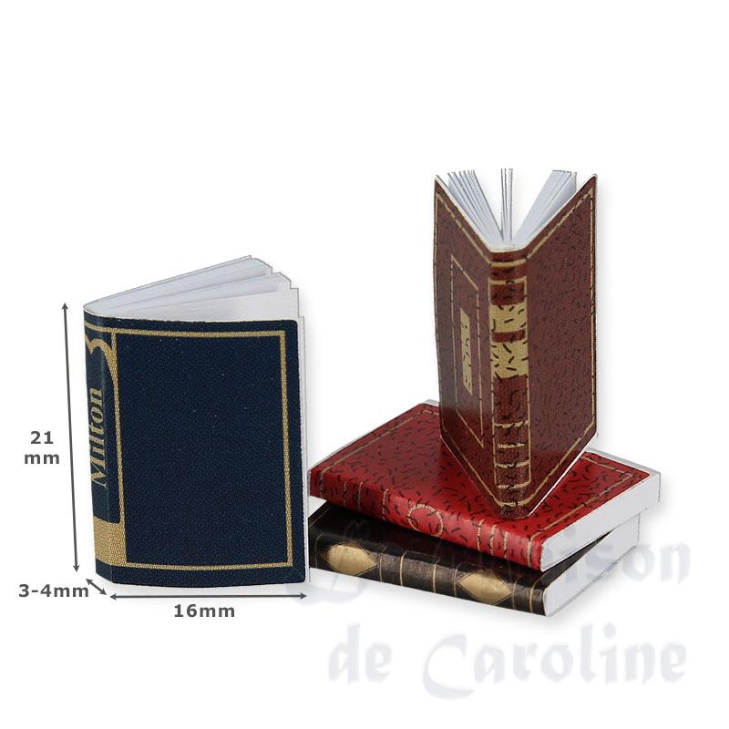 4 books ass. miniature 1:12 Bilder 1