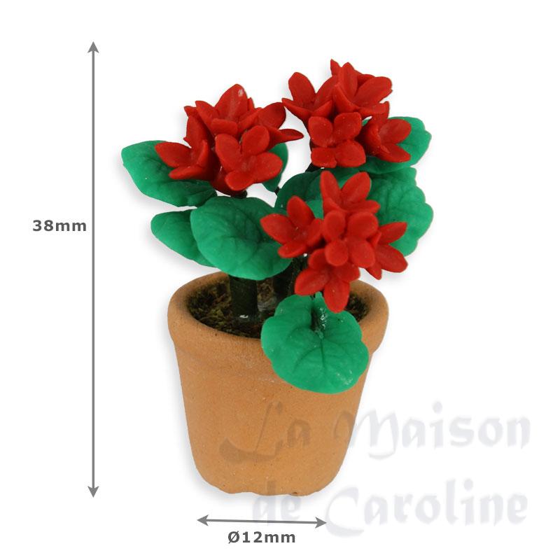 red geranium in cotta pot miniature 1:12 Bilder 1