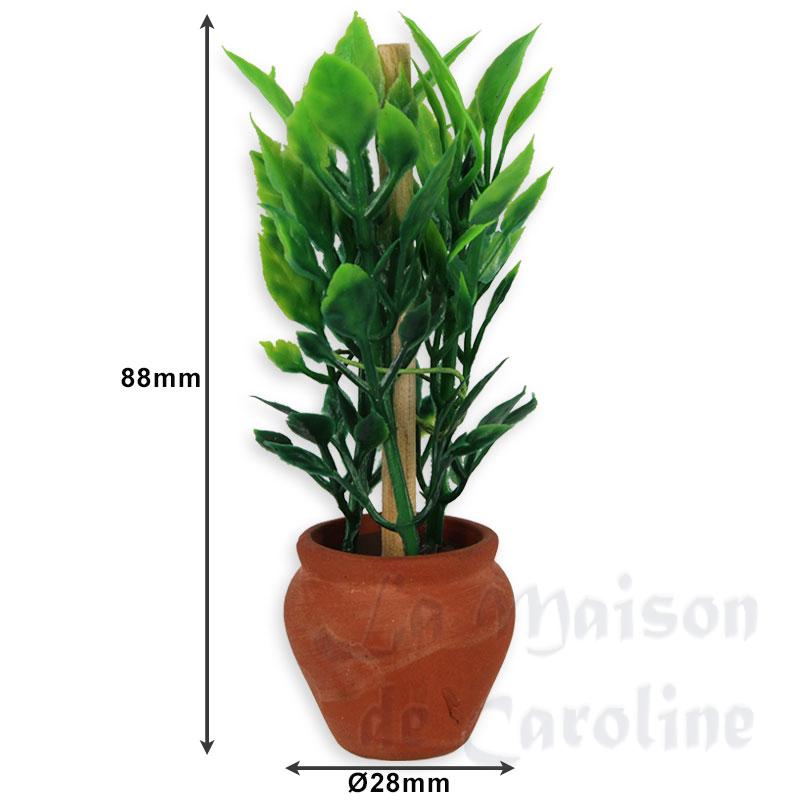 terracotta pot with green plant miniature 1:12 Bilder 1