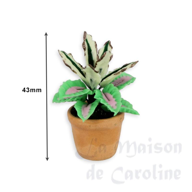 plant in pot green/pink miniature 1:12 Bilder 1