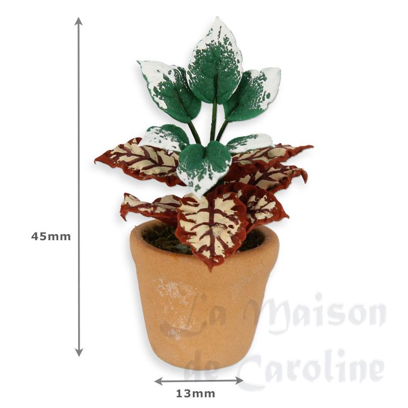 plant in pot red/white miniature 1:12 Bilder 1