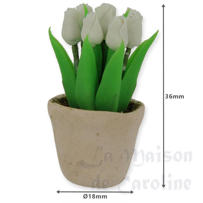 white baby tulip in white pot miniature 1:12 Bilder 1
