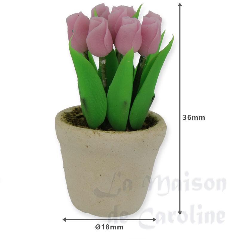 pink baby tulip in white pot miniature 1:12 Bilder 1