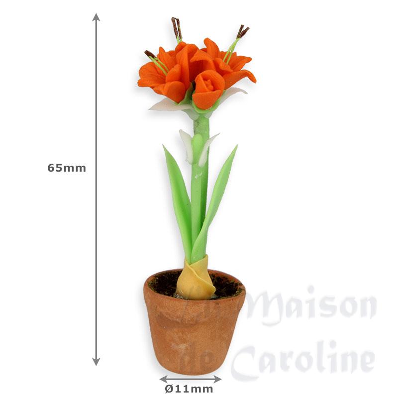 amaraylis in pot, orange miniature 1:12 Bilder 1