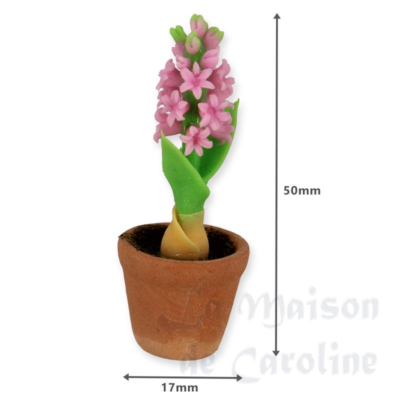 hyacinth in pot, pink miniature 1:12 Bilder 1