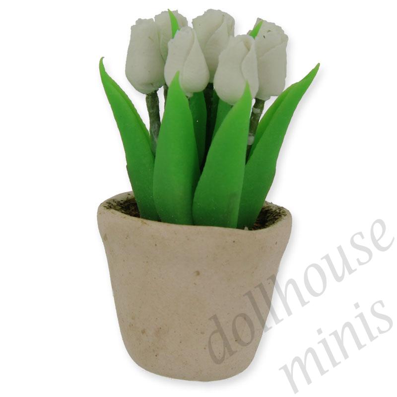 white baby tulip in white pot Miniature 1:12