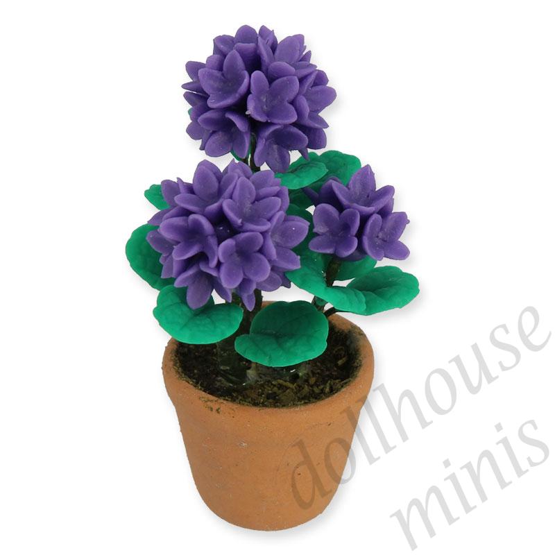 hydrengeain pot, purple Miniature 1:12
