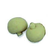 mushroom miniature 1:12