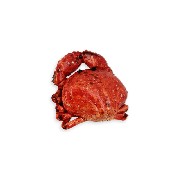 crab red miniature 1:12