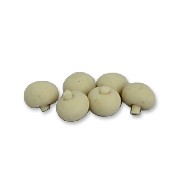 s/6 mushroom miniature 1:12