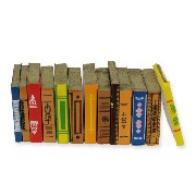 13 books ass. miniature 1:12