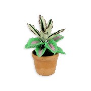 plant in pot green/pink miniature 1:12