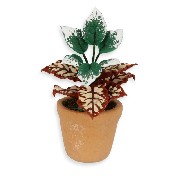 plant in pot red/white miniature 1:12