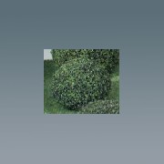 2 tree-bush 1.5 tall miniature 1:12