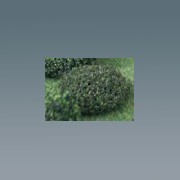 2 tree-mound 1.5 tall 1:12