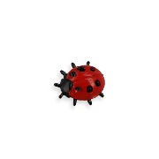 ladybird 1:12