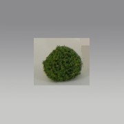 2 trees 3.5 green spruce miniature 1:12
