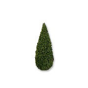 tree poplar s.green 4tall miniature 1:12