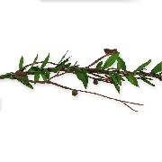 leaf garland 90cm 1:12
