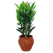 terracotta pot with green plant miniature 1:12