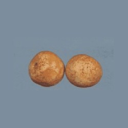 orange miniature 1:12, Miniatures