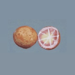 1/2 grapefruit miniature 1:12, Miniatures