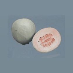 long contaloupe miniature 1:12, Miniatures