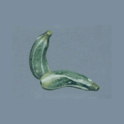 squash miniature 1:12, Miniatures
