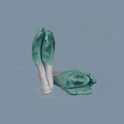 spinach miniature 1:12