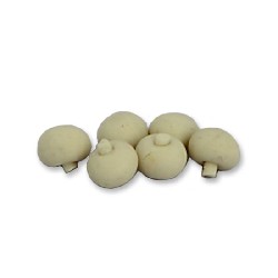 s/6 mushroom miniature 1:12, Miniatures