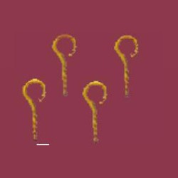50 hooks 7mm, screwable miniature 1:12, Accessories for dollhouses