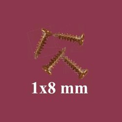 screw for 79761 miniature 1:12
