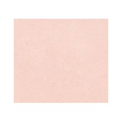 papier peint uni salmon miniature 1:12, Wall