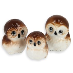 3 pc. family bone china set: wood owl 1:12