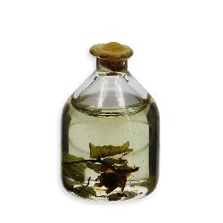glass conservation jar miniature 1:12